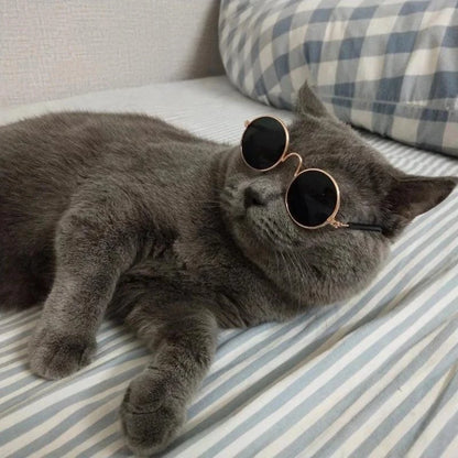 Tabby Tints - Kitty Klean