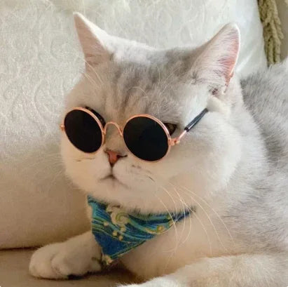 Tabby Tints - Kitty Klean
