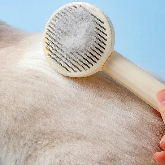 Cat Comb