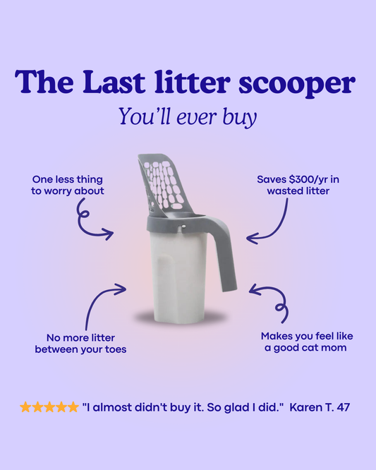Kitty Klean | Litter Scooper 2.0